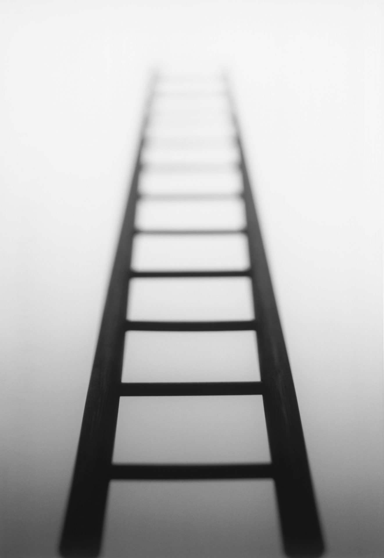 Fear Ladder