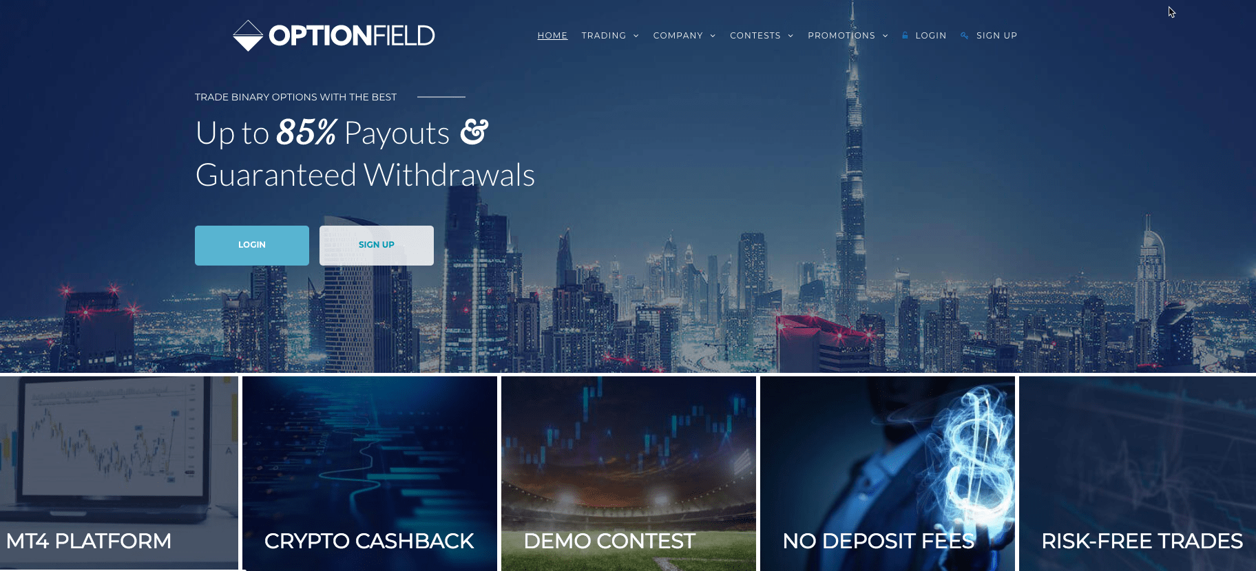 OptionField screenshot