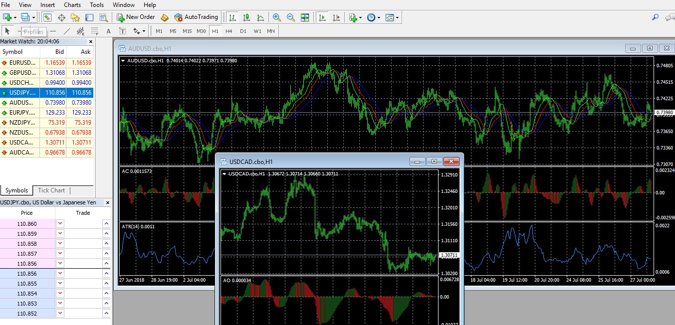 optionfield binary options